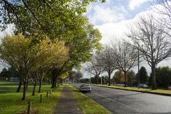 Thumbnail Image of View of Harewood Road from Bishopdale Park