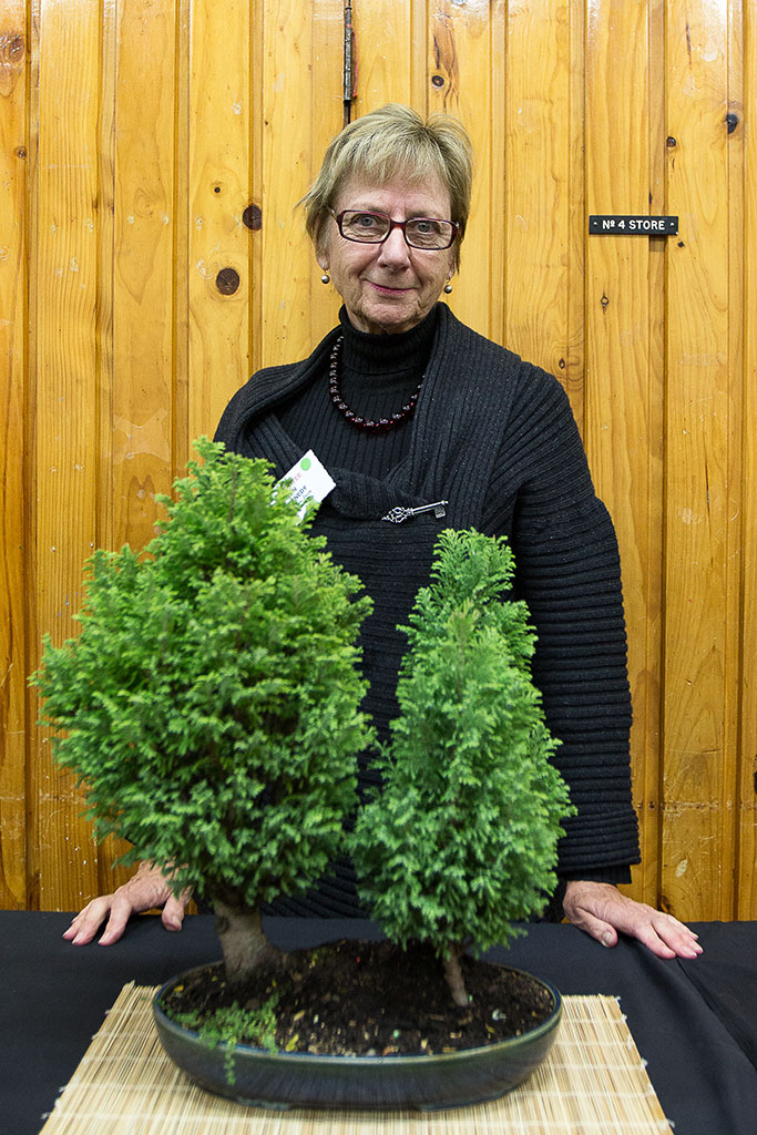 Image of Lyn Kennedy, a member of the Avon Bonsai Society Wednesday, 3 May 2017