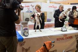 Thumbnail Image of Pamela Barrett, National Cat Show judge, with winner of the short haired cat division