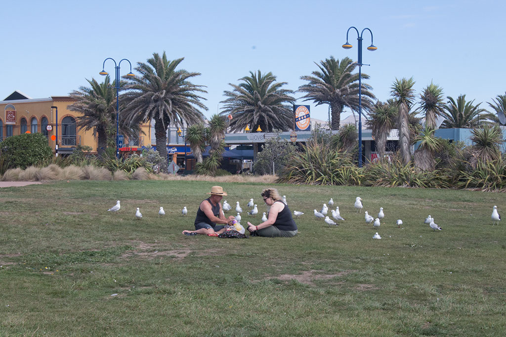 Image of Couple picnicking on beach-side lawn, Marine Parade, New Brighton. Saturday, 19 March 2016