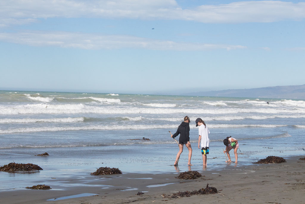 Image of Children play in the tide, South New Brighton. Saturday, 19 March 2016