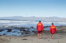 Thumbnail Image of Surf lifeguards on the beach