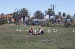 Thumbnail Image of Couple picnicking on beach-side lawn