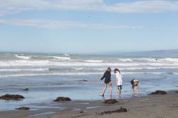 Thumbnail Image of Children play in the tide