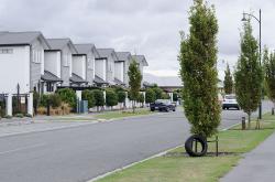 Thumbnail Image of Tire and tree, Mustang Avenue