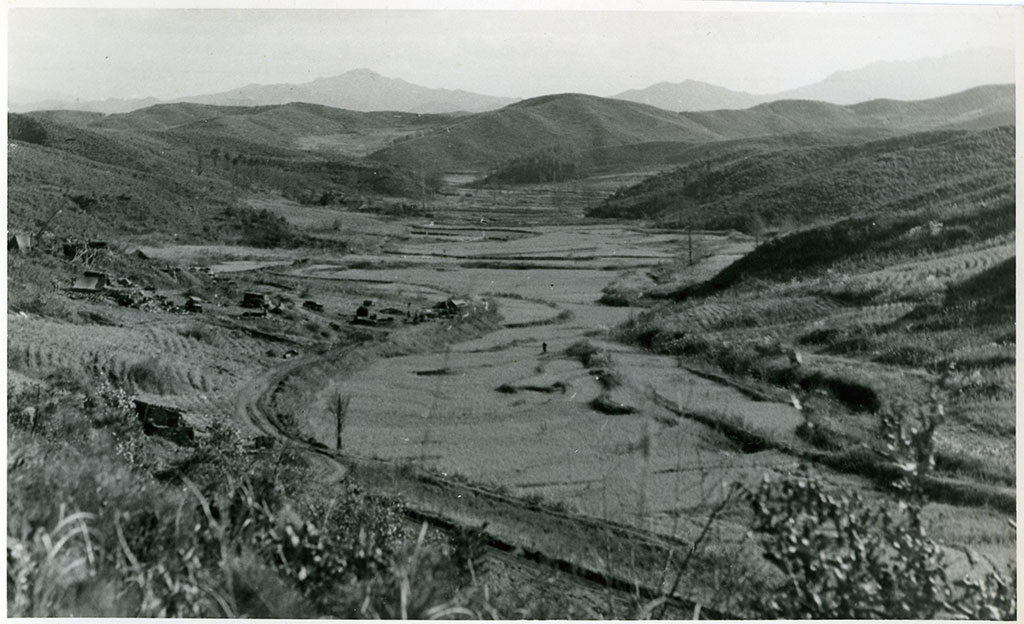 Image of Landscape, 1951 1951