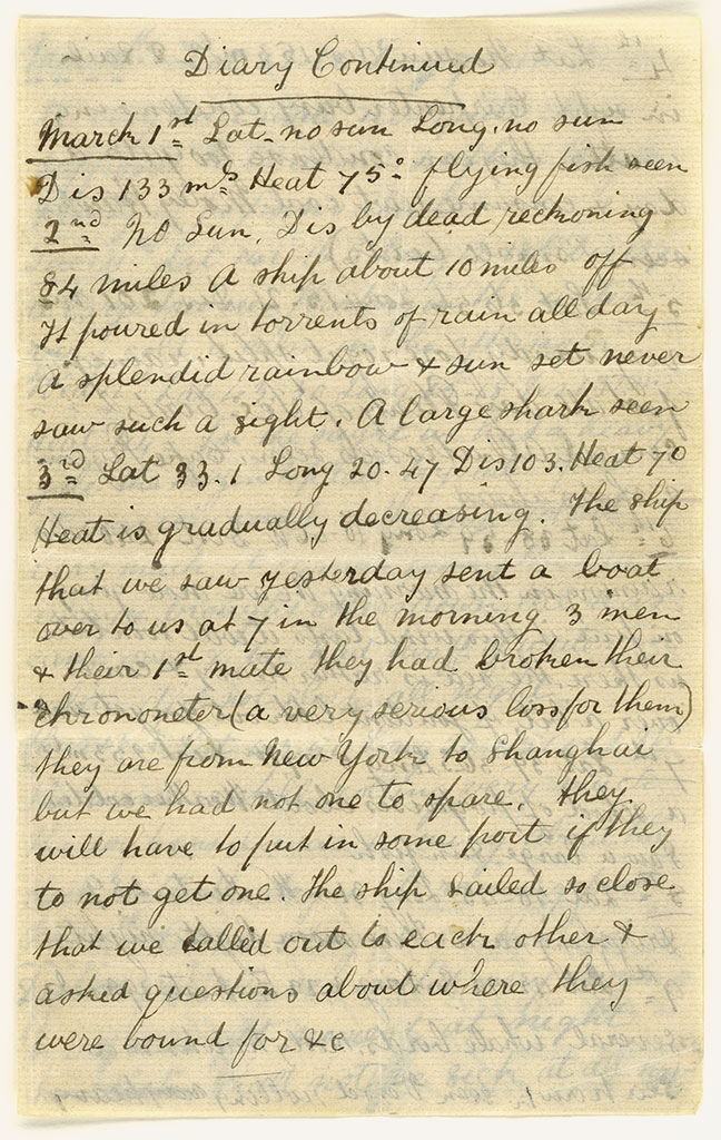 Image of Diary of H. Bottle 1879