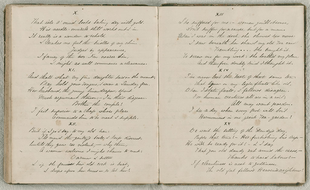 Image of Diary, May 1864 to October 1865 1864-1865