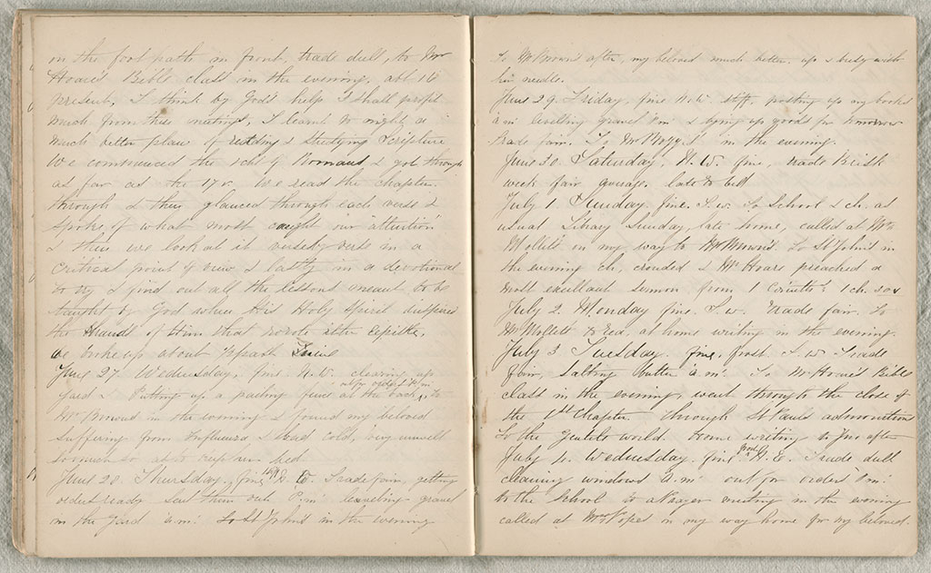 Image of Diary, October 1865 to November 1866 1865-1866