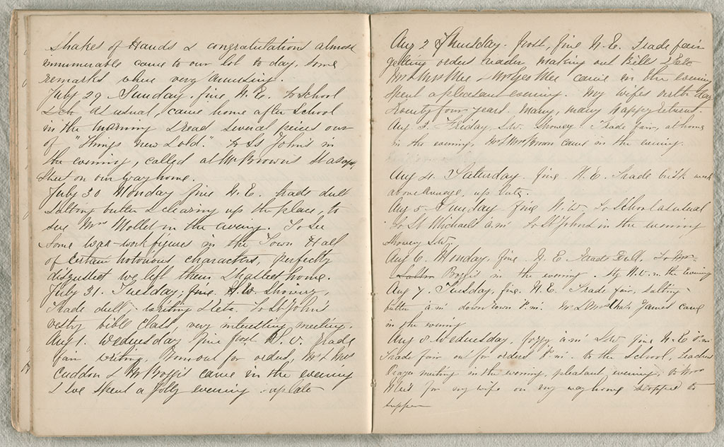 Image of Diary, October 1865 to November 1866 1865-1866