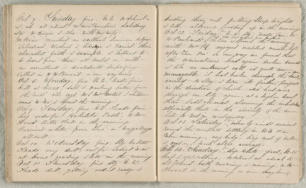 Image of Diary, October 1865 to November 1866 1865-1866