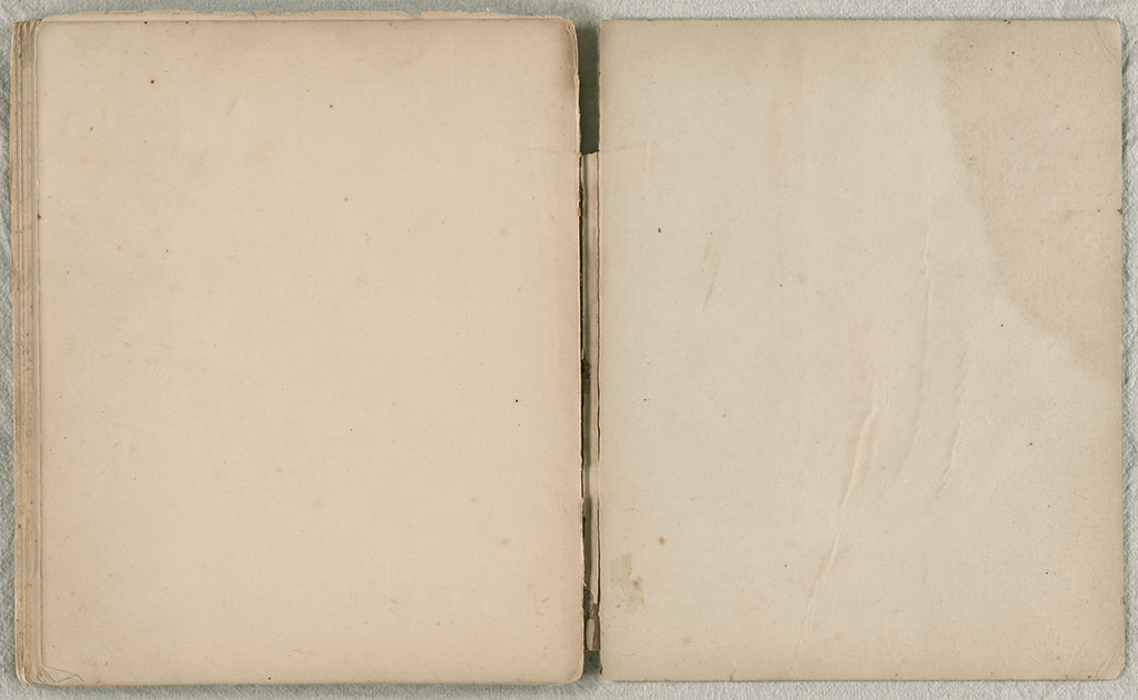 Image of Diary, October 1865 to November 1866 1865-1866