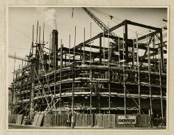 Thumbnail Image of Building the new M.E.D building