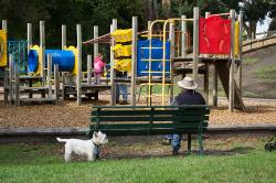 Thumbnail Image of Playground, Bishopdale Park