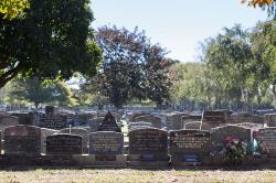 Thumbnail Image of Upright headstones at the Waimairi Cemetery