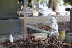 Thumbnail Image of Oldest part of the Waimairi Cemetery