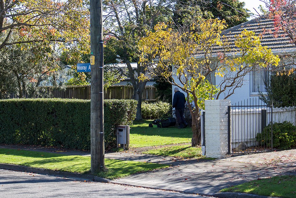 Image of Man mowing lawns, Mooray Avenue Wednesday, 19 April 2017