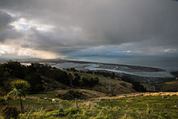 View of Brighton spit / Janneth Gil
