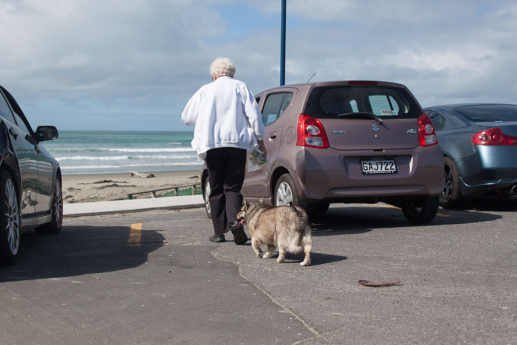 Image of A woman walking her dog, north ramp car park, New Brighton. Thursday, 31 March 2016