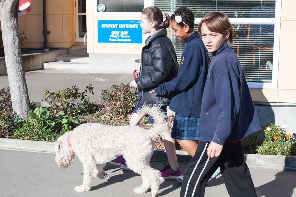 Image of A Canine Educator at South New Brighton School goes for a walk. Thursday, 28 July 2016