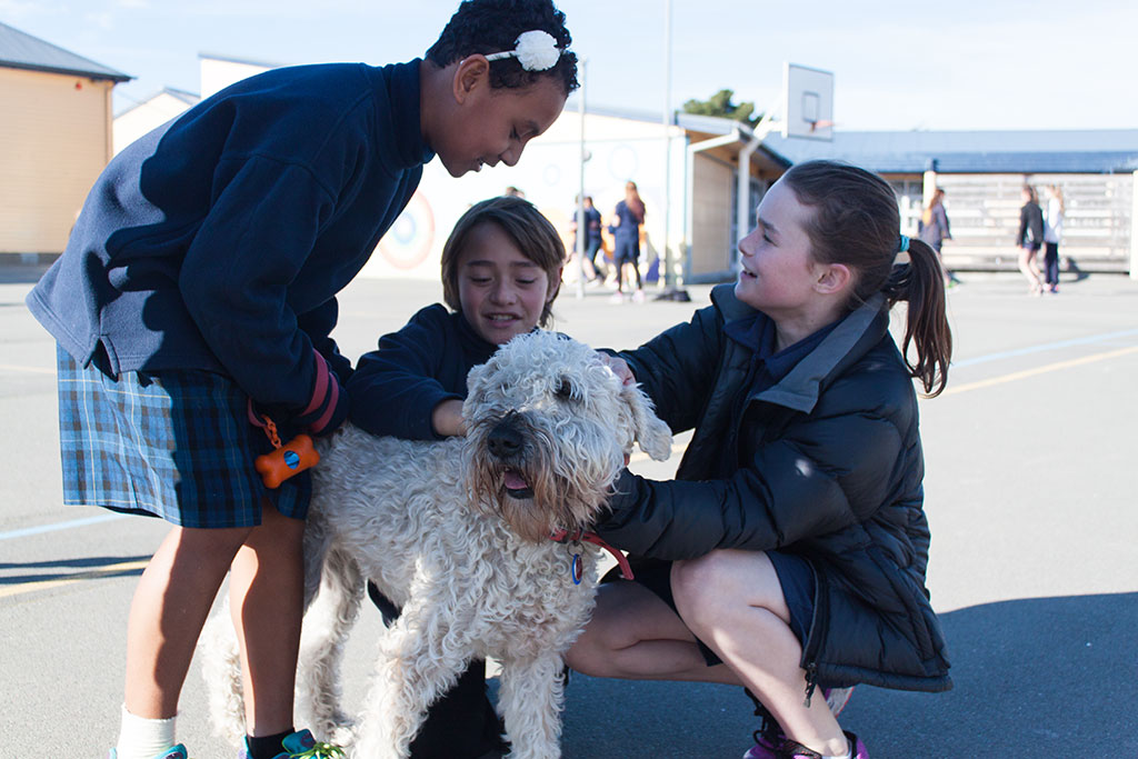 Image of A Canine Educator gets cuddles, South New Brighton School. Thursday, 28 July 2016