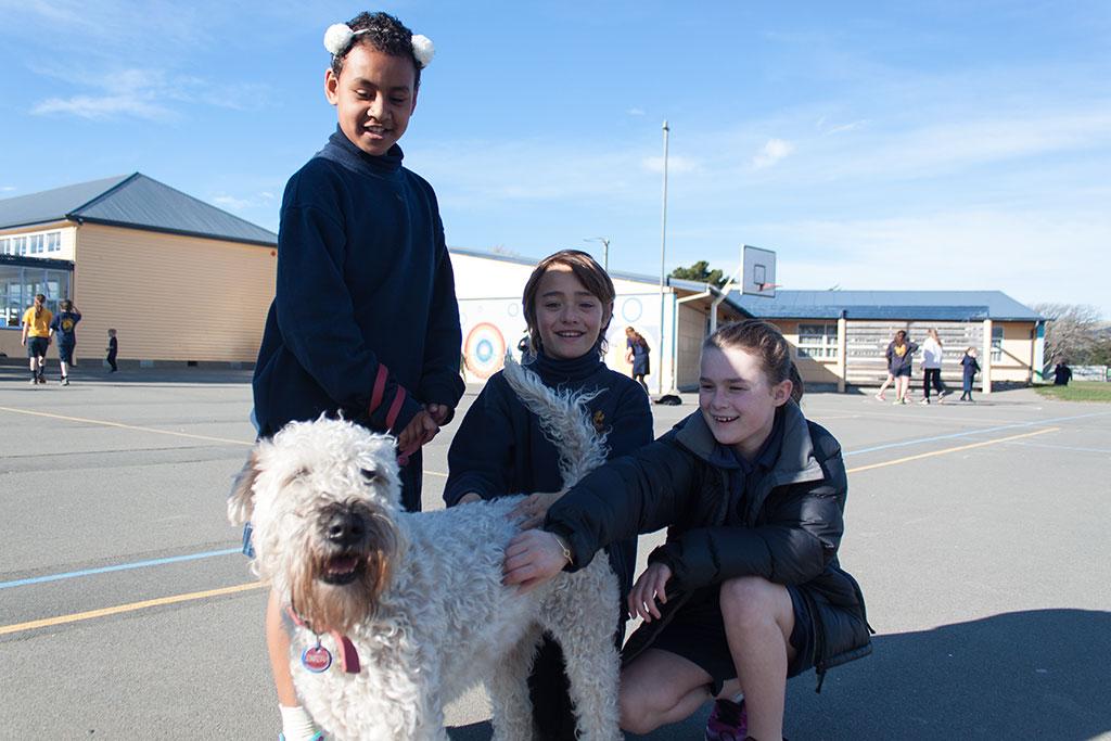 Image of A Canine Educator at South New Brighton School. Thursday, 28 July 2016