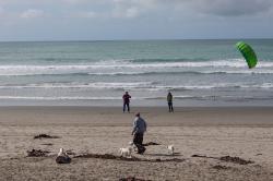 Thumbnail Image of People on New Brighton beach