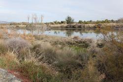 Thumbnail Image of Wetland view from Admirals Way