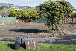 Thumbnail Image of Suitcases, Rocking Horse Road, Southshore
