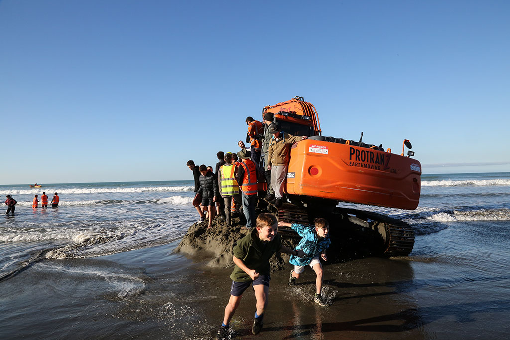 Image of False killer whale stranding, Waimairi Beach. Sunday, 5 June 2016