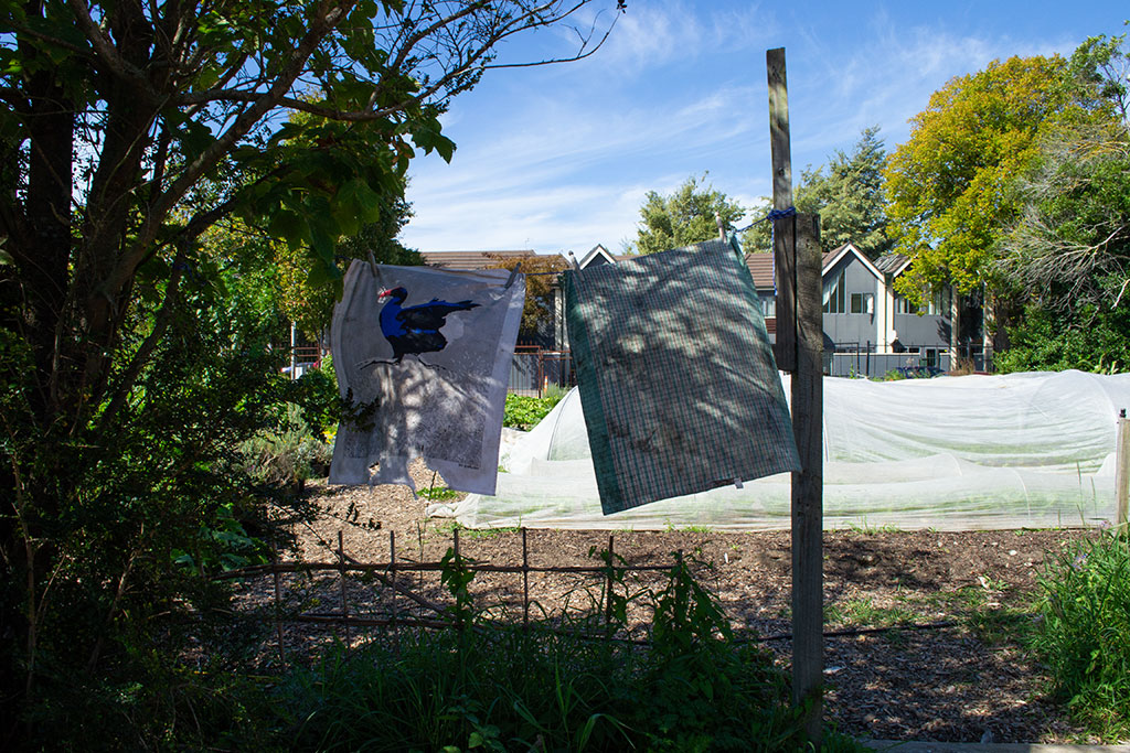 Image of Visiting Cultivate Christchurch, Peterborough Urban Farm, 156 Peterborough Street. Thursday, 3 May 2018