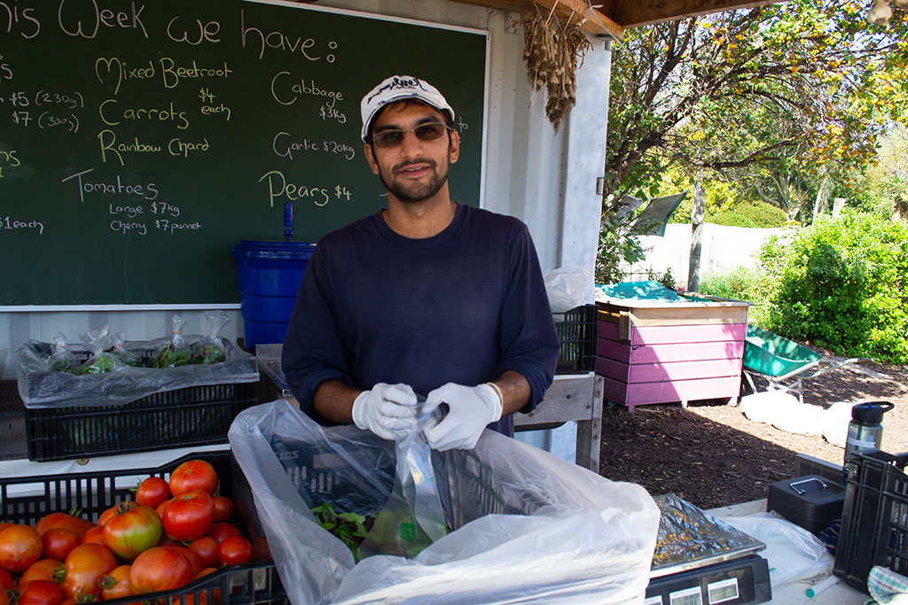 Image of Peterborough Urban Farm, Cultivate Christchurch, 156 Peterborough Street. Thursday, 3 May 2018