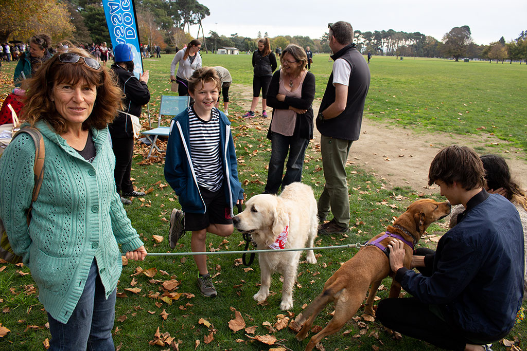 Image of The Big Dog Walk With Lots of Dogs event, North Hagley Park. Saturday, 5 May 2018