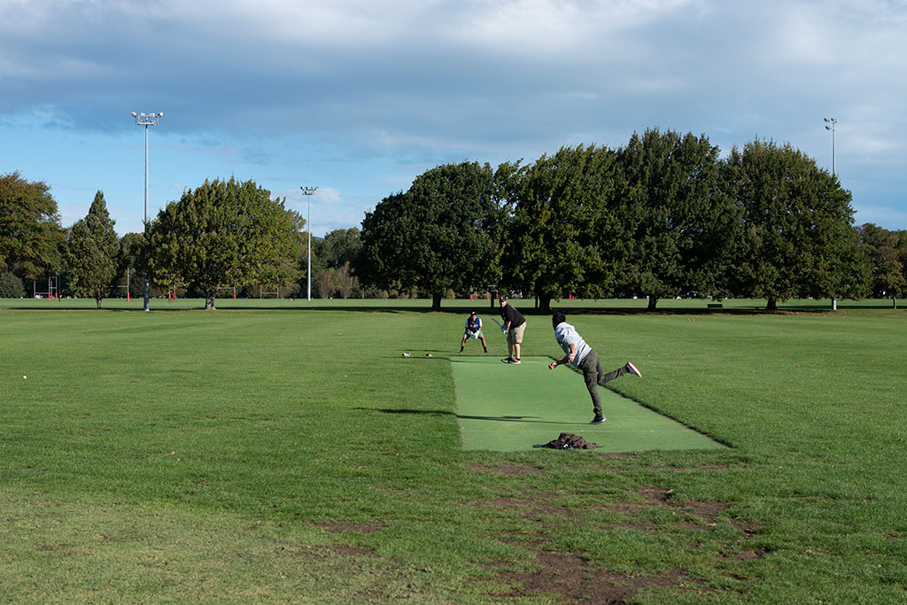 Image of Playing cricket in the sun, Hagley Park. Thursday, 12 April 2018