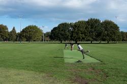 Thumbnail Image of Playing cricket, Hagley Park