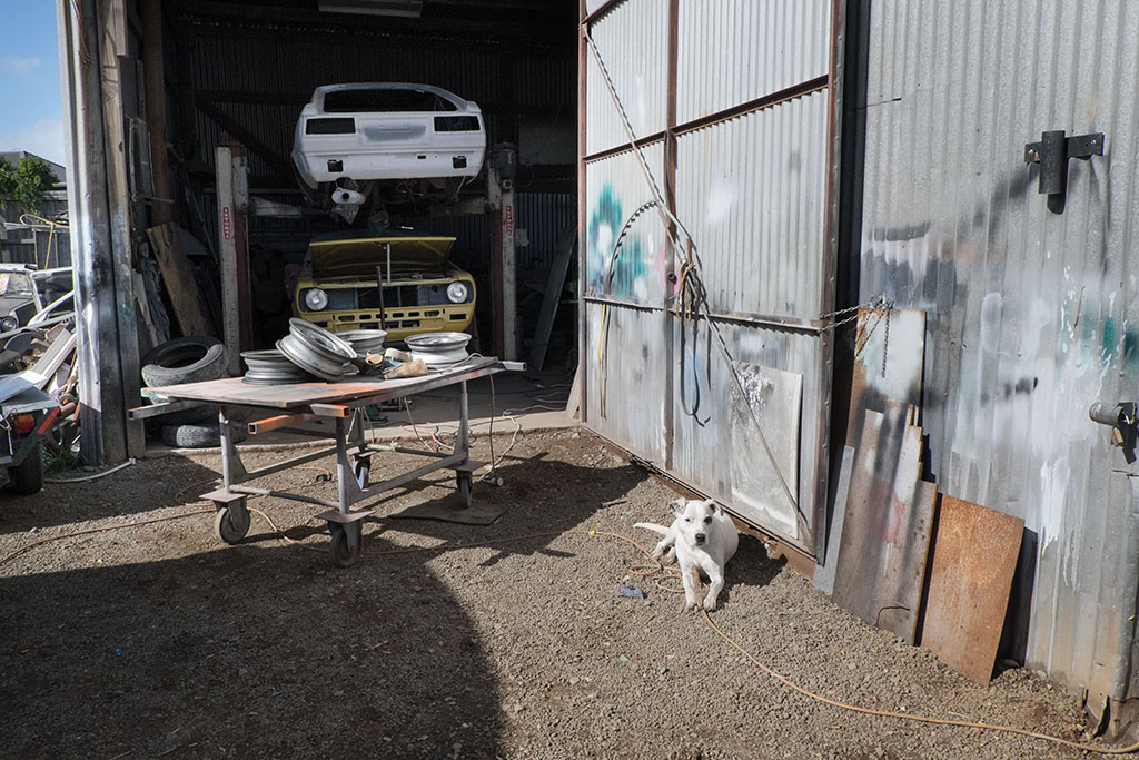 Image of Axel guards the entry way to his owner's panel beating shop, Rust Repairs, 373 Wigram Road. 15-04-2015 1.32 p.m.