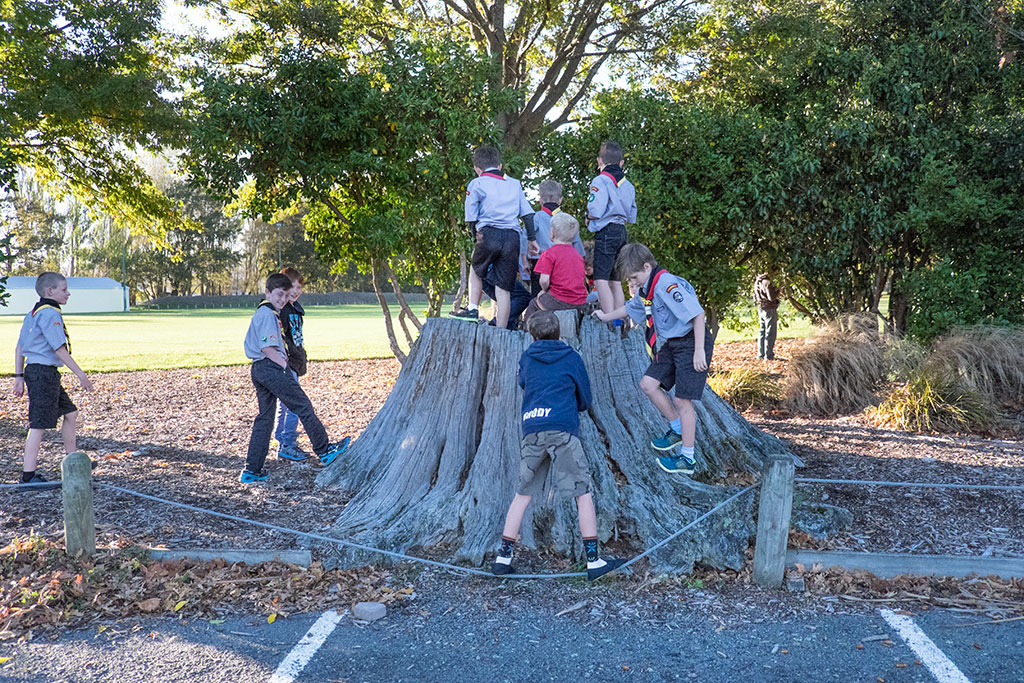Image of Scouts play on tree stump before the Anzac Parade, 301 Halswell Road. 25-04-15 8.28 a.m.
