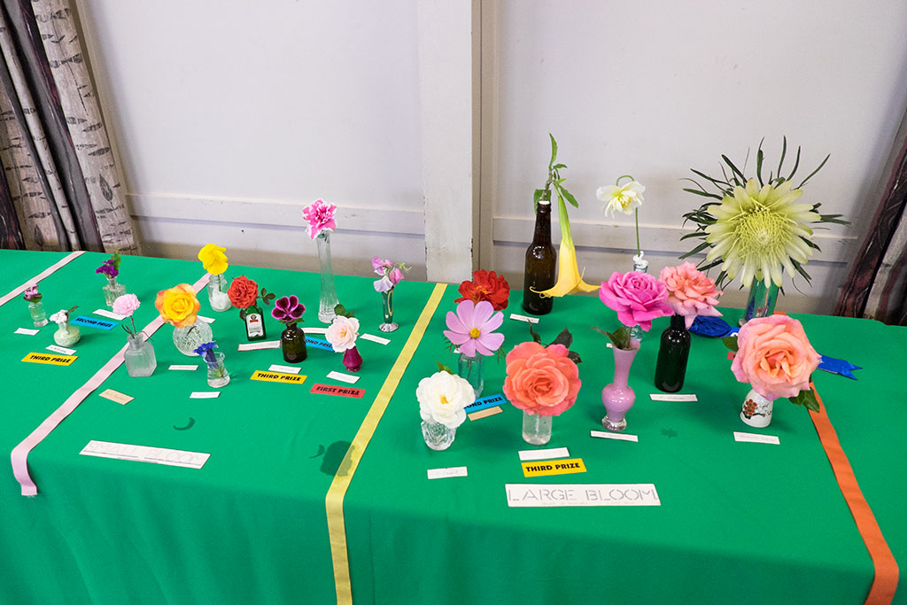 Image of Contestants for the large bloom and the small bloom awards, Halswell Garden Club awards day, St Mary's Anglican Church. 12-05-2015 1.12 p.m.