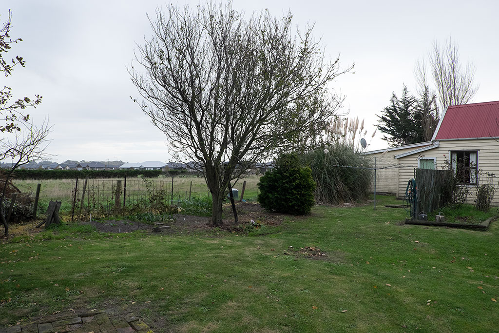 Image of In Patricia's garden looking towards the Longhurst subdivision. 02-06-15 3.15 p.m.