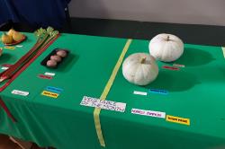 Thumbnail Image of Contestants for the vegetable of the month, Halswell Garden Club
