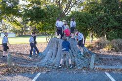 Thumbnail Image of Scouts play on tree stump before the Anzac Parade