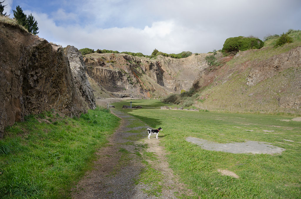 Image of Walkway leading into the old quarry, Halswell Quarry park. 07-08-2105 11:40 a.m.