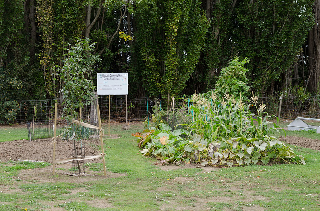 Image of Garden Food Forest, Halswell community project, Halswell Domain. 25-03-2015 1:31 p.m.