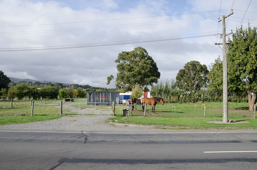 Image of Horses in paddock, Glovers Road. 31-03-2015 10:27 a.m.