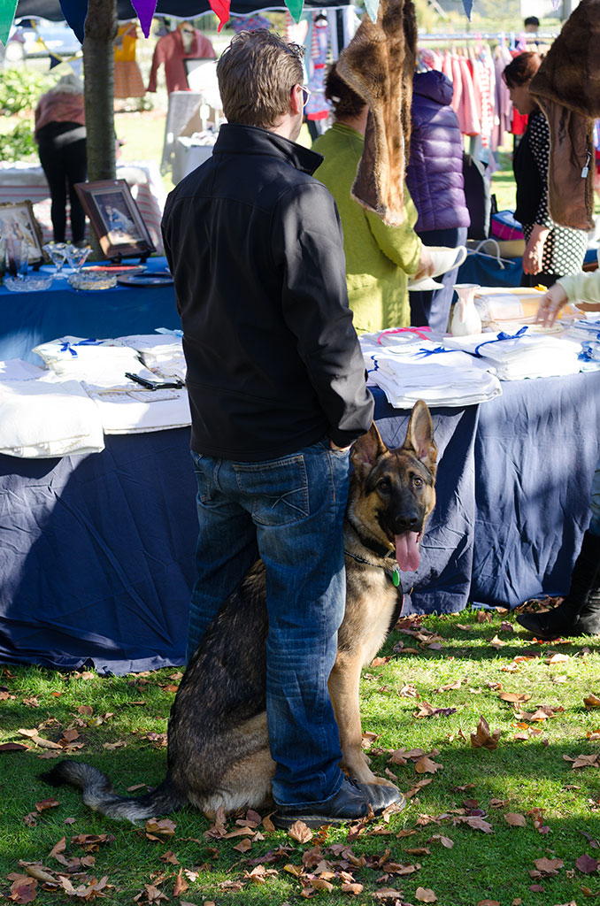 Image of Alsatian and owner, Halswell community market. 24-05-2015 2:47 p.m.