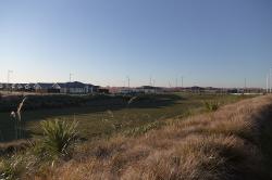 Thumbnail Image of View of new housing in subdivision, Wigram