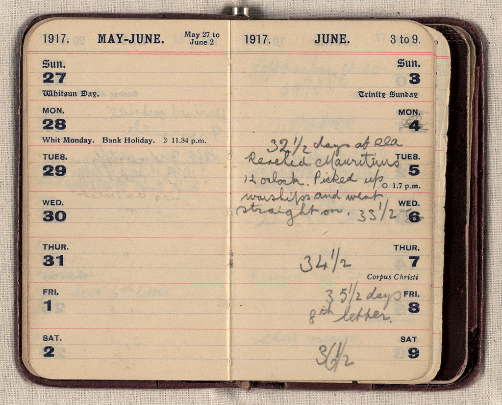 Image of Diary 1917