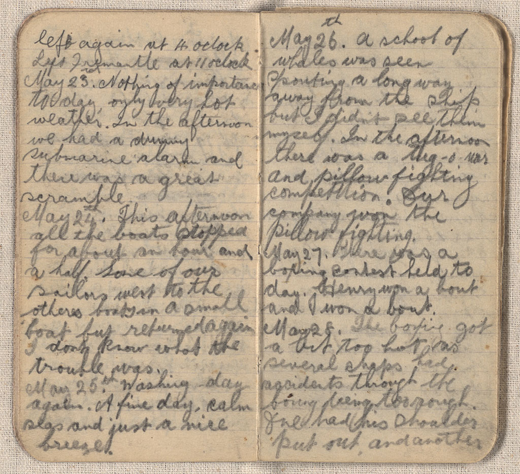Image of Diary 1917