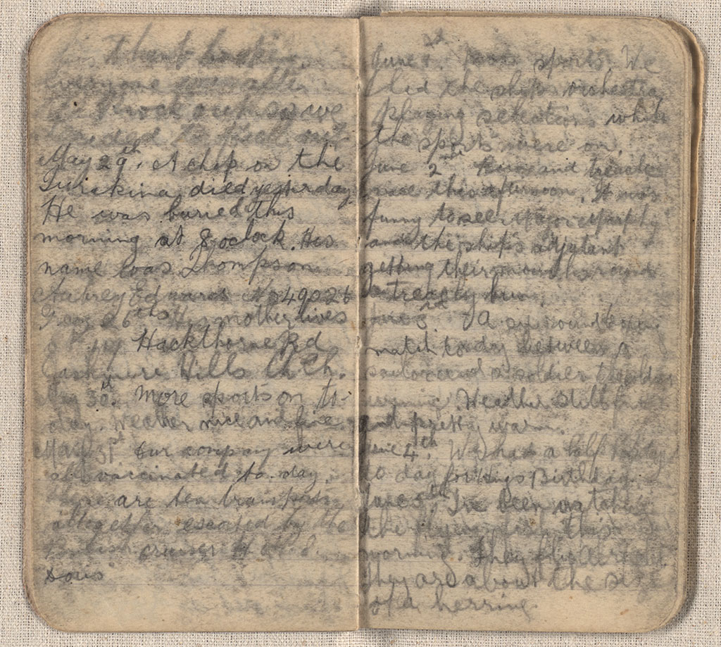 Image of Diary 1917