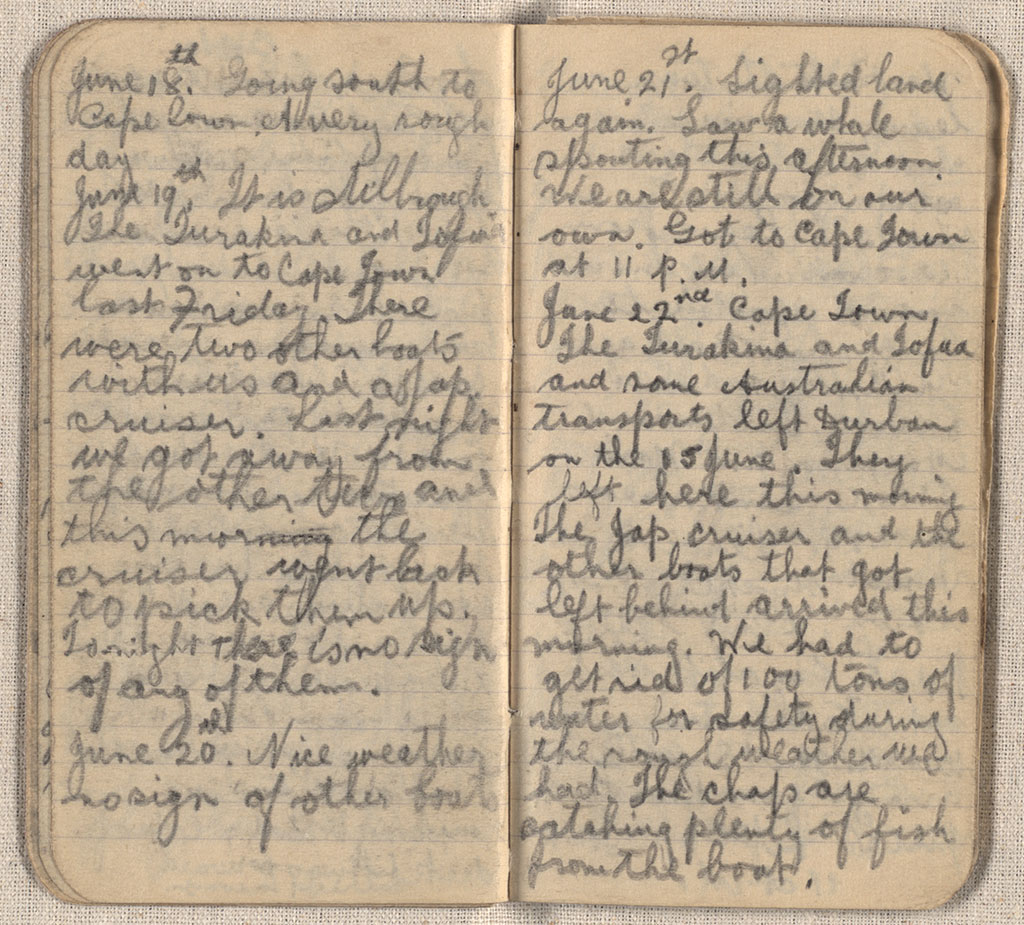 Image of Diary 1917